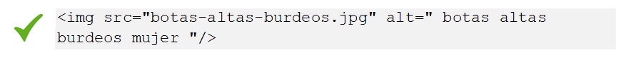 codigo correcto seo imagenes
