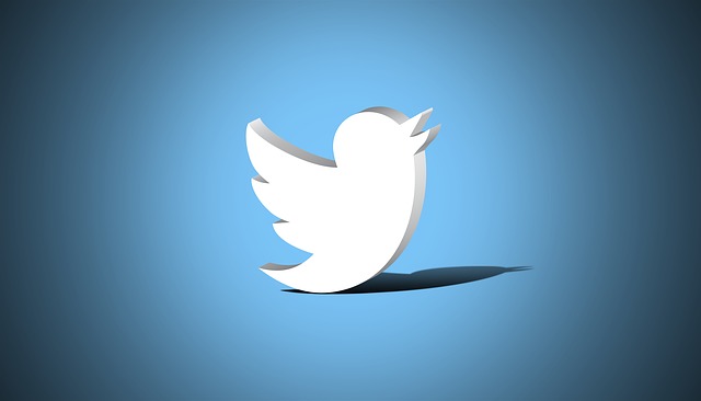 medidas twitter