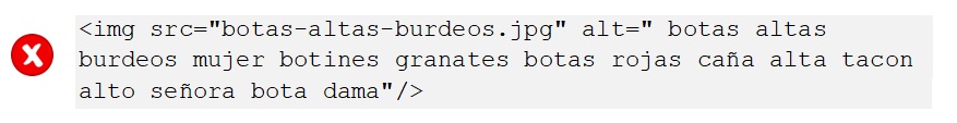 seo imagenes alt text incorrecto